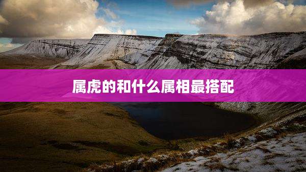 属虎的和什么属相最搭配