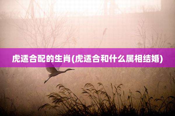 虎适合配的生肖(虎适合和什么属相结婚)