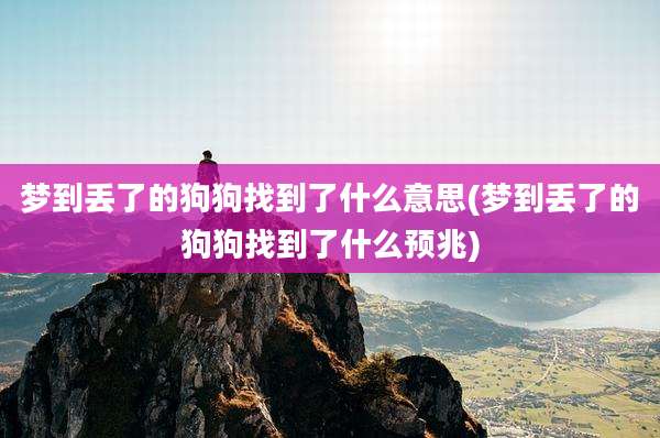 梦到丢了的狗狗找到了什么意思(梦到丢了的狗狗找到了什么预兆)