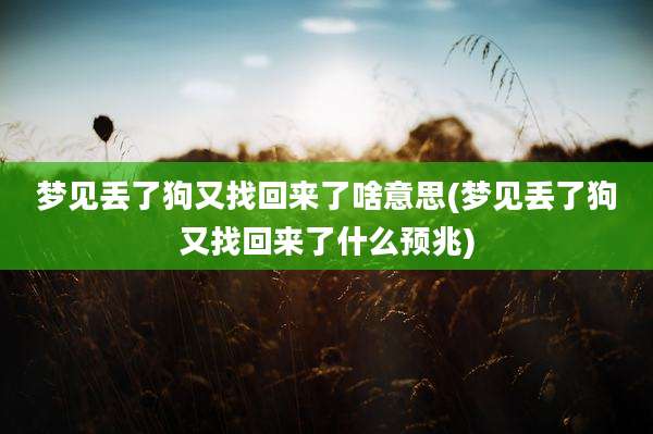 梦见丢了狗又找回来了啥意思(梦见丢了狗又找回来了什么预兆)