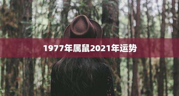 1977年属鼠2021年运势