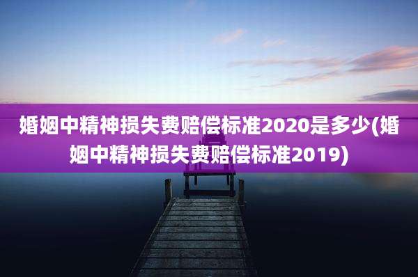 婚姻中精神损失费赔偿标准2020是多少(婚姻中精神损失费赔偿标准2019)