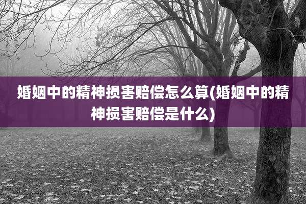 婚姻中的精神损害赔偿怎么算(婚姻中的精神损害赔偿是什么)