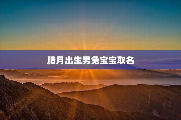 腊月出生男兔宝宝取名