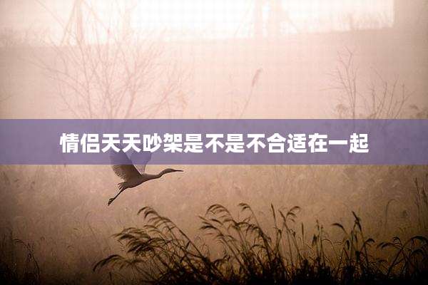 情侣天天吵架是不是不合适在一起