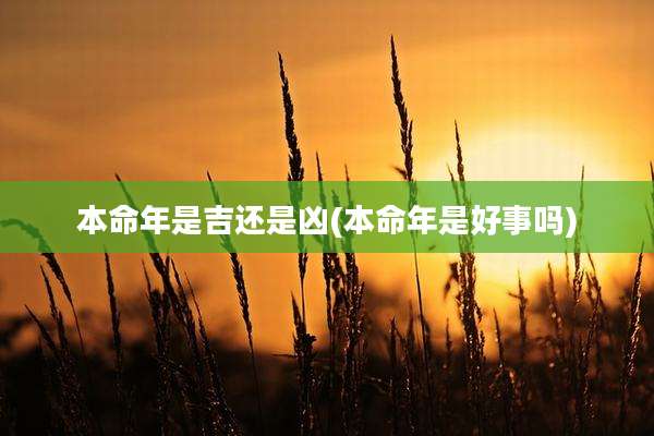 本命年是吉还是凶(本命年是好事吗)
