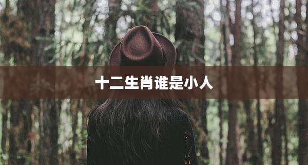 十二生肖谁是小人