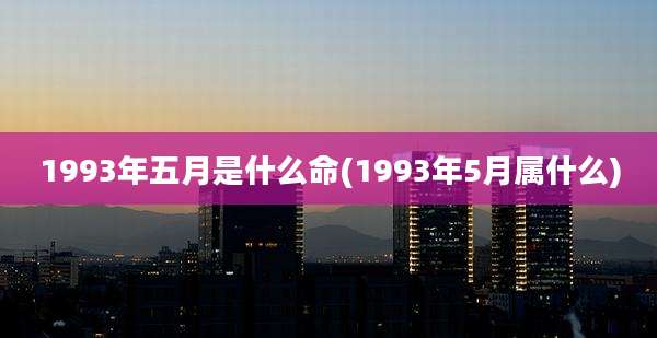 1993年五月是什么命(1993年5月属什么)