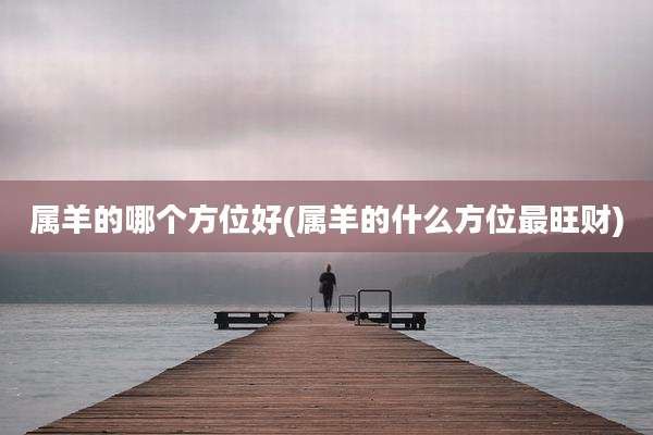 属羊的哪个方位好(属羊的什么方位最旺财)