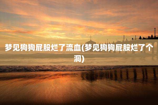 梦见狗狗屁股烂了流血(梦见狗狗屁股烂了个洞)