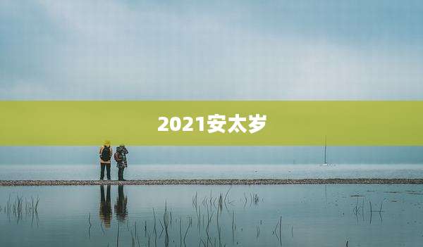 2021安太岁