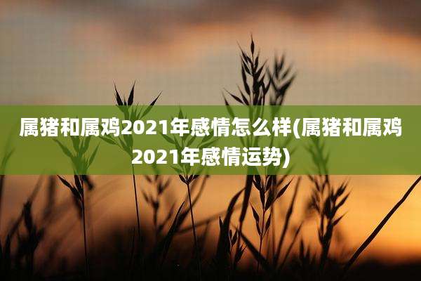 属猪和属鸡2021年感情怎么样(属猪和属鸡2021年感情运势)