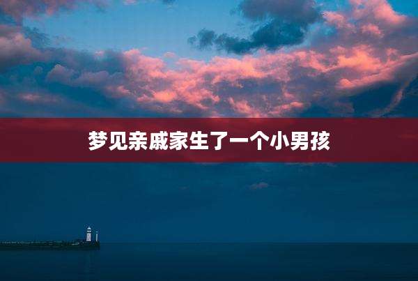 梦见亲戚家生了一个小男孩