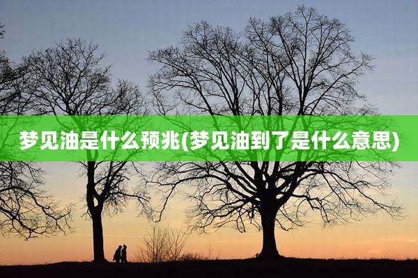 梦见油是什么预兆(梦见油到了是什么意思)