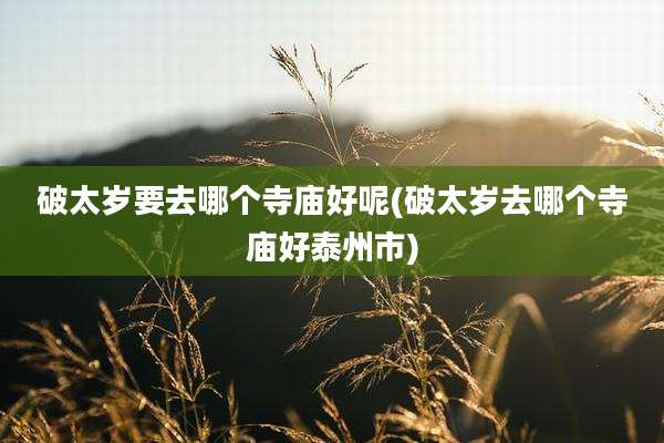 破太岁要去哪个寺庙好呢(破太岁去哪个寺庙好泰州市)