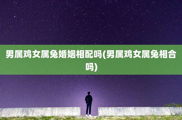 男属鸡女属兔婚姻相配吗(男属鸡女属兔相合吗)