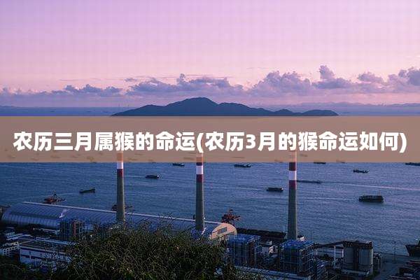 农历三月属猴的命运(农历3月的猴命运如何)