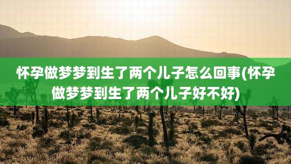 怀孕做梦梦到生了两个儿子怎么回事(怀孕做梦梦到生了两个儿子好不好)