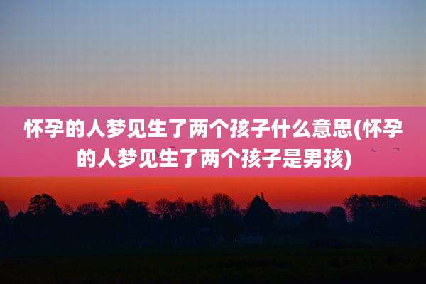 怀孕的人梦见生了两个孩子什么意思(怀孕的人梦见生了两个孩子是男孩)
