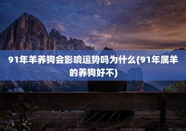 91年羊养狗会影响运势吗为什么(91年属羊的养狗好不)