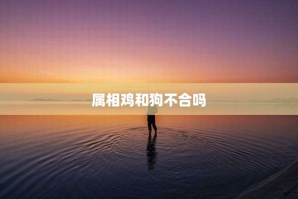 属相鸡和狗不合吗
