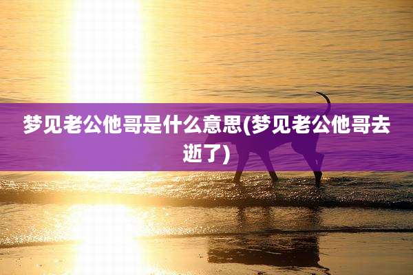 梦见老公他哥是什么意思(梦见老公他哥去逝了)