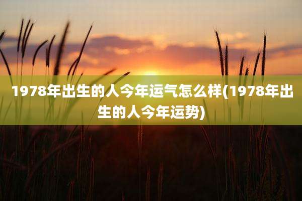 1978年出生的人今年运气怎么样(1978年出生的人今年运势)