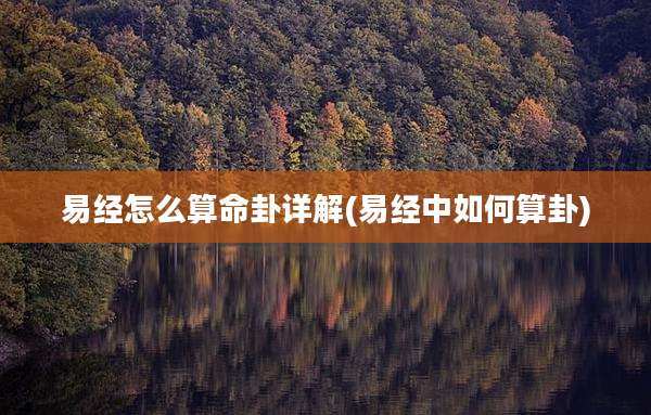 易经怎么算命卦详解(易经中如何算卦)