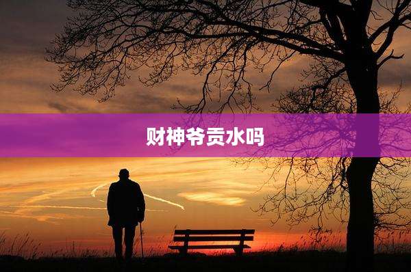 财神爷贡水吗