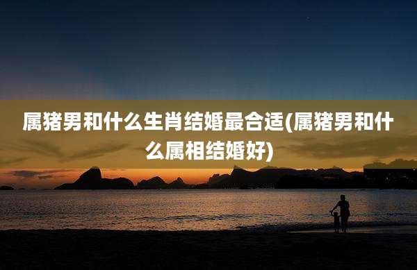 属猪男和什么生肖结婚最合适(属猪男和什么属相结婚好)