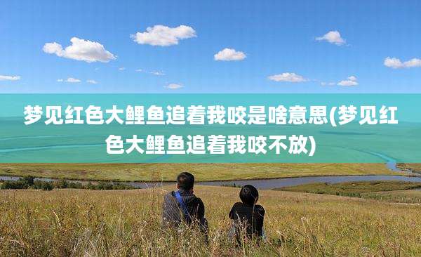 梦见红色大鲤鱼追着我咬是啥意思(梦见红色大鲤鱼追着我咬不放)