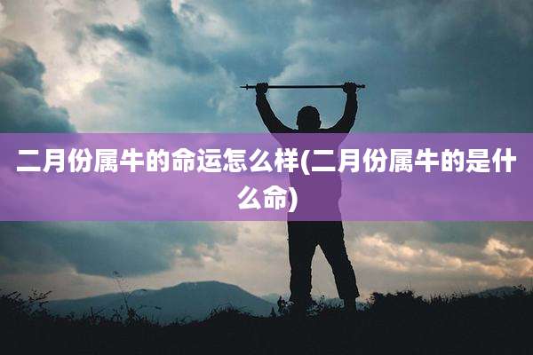 二月份属牛的命运怎么样(二月份属牛的是什么命)