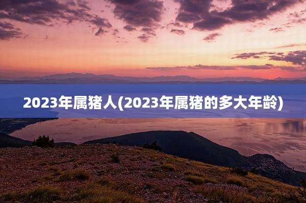 2023年属猪人(2023年属猪的多大年龄)