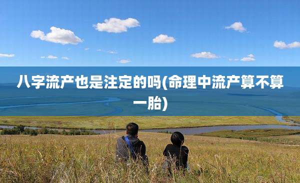 八字流产也是注定的吗(命理中流产算不算一胎)