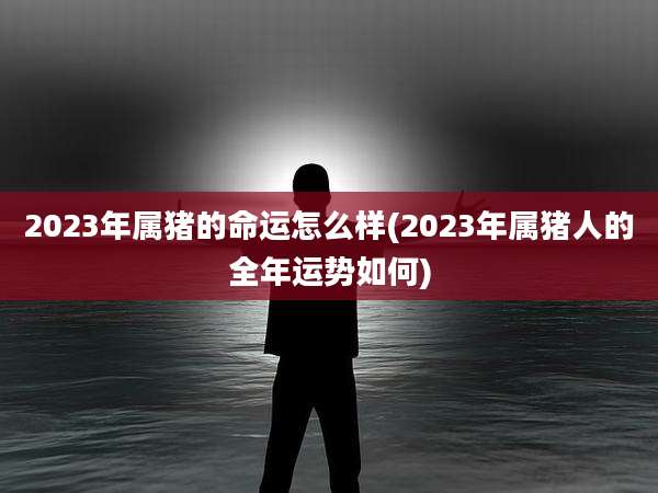 2023年属猪的命运怎么样(2023年属猪人的全年运势如何)