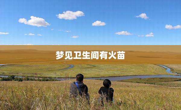 梦见卫生间有火苗