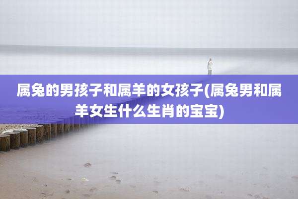 属兔的男孩子和属羊的女孩子(属兔男和属羊女生什么生肖的宝宝)