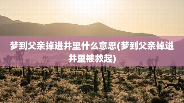 梦到父亲掉进井里什么意思(梦到父亲掉进井里被救起)