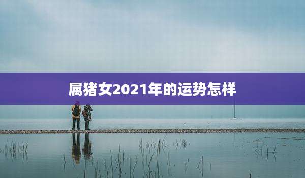 属猪女2021年的运势怎样