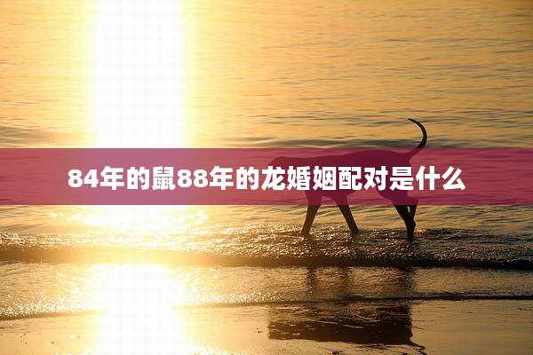 84年的鼠88年的龙婚姻配对是什么