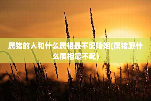 属猪的人和什么属相最不配婚姻(属猪跟什么属相最不配)