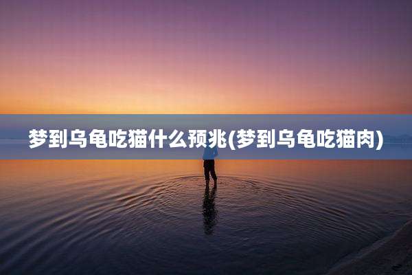 梦到乌龟吃猫什么预兆(梦到乌龟吃猫肉)