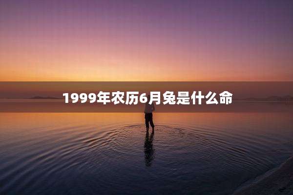 1999年农历6月兔是什么命