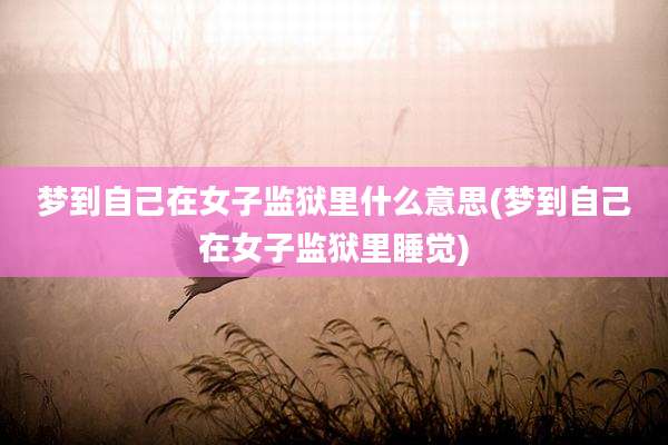 梦到自己在女子监狱里什么意思(梦到自己在女子监狱里睡觉)