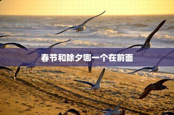 春节和除夕哪一个在前面
