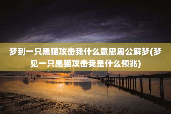 梦到一只黑猫攻击我什么意思周公解梦(梦见一只黑猫攻击我是什么预兆)