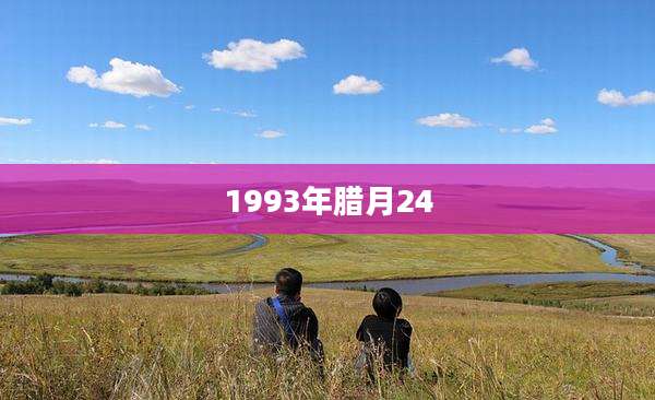 1993年腊月24