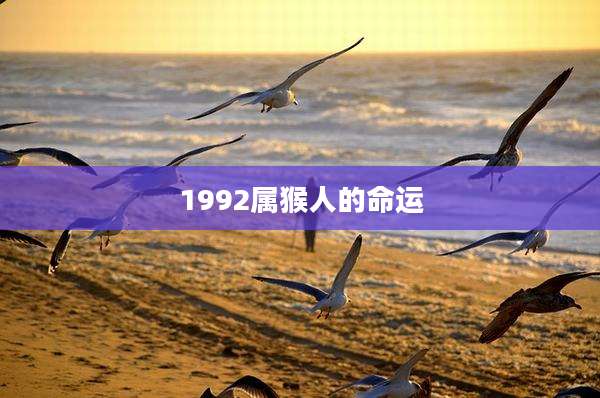1992属猴人的命运