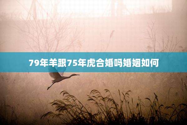 79年羊跟75年虎合婚吗婚姻如何