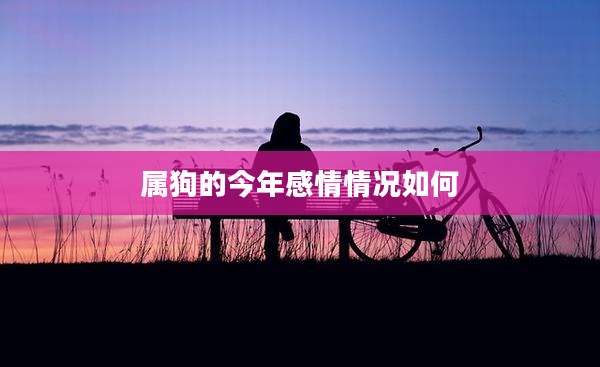 属狗的今年感情情况如何